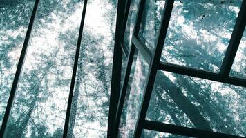 View of lush green foliage through a large glass window with a black frame, showcasing a contrast between architecture and nature. video