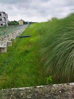 a grassy field with a fence and a building in the background photo