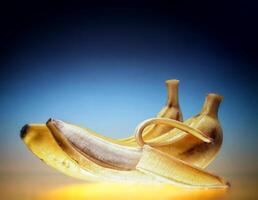wet bananas on colorful background photo