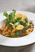 Asparagus risotto with pirarucu fish and fried cassava chips photo