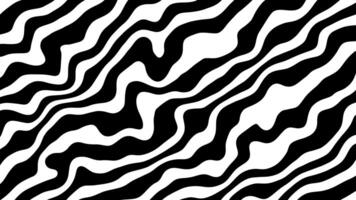 Modern wavy liquefy seamless pattern of abstract fluid lines background, white wavy lines psychedelic motion graphic animated video