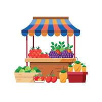 Realistic Fruits Illustration Concepts vector