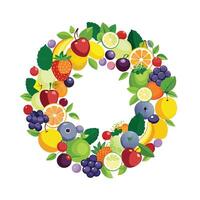 Realistic Fruits Illustration Concepts vector
