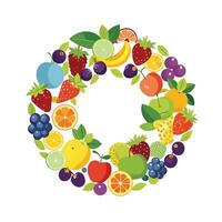 Realistic Fruits Illustration Concepts vector
