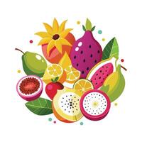 Realistic Fruits Illustration Concepts vector