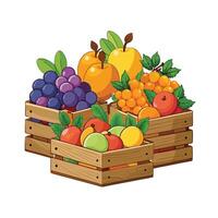 Realistic Fruits Illustration Concepts vector