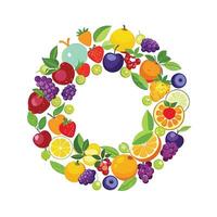 Realistic Fruits Illustration Concepts vector