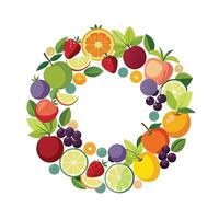 Realistic Fruits Illustration Concepts vector