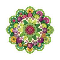 Realistic Fruits Illustration Concepts vector