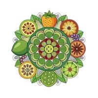 Realistic Fruits Illustration Concepts vector