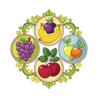 Realistic Fruits Illustration Concepts vector