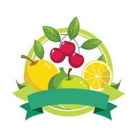 Realistic Fruits Illustration Concepts vector