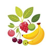 Realistic Fruits Illustration Concepts vector