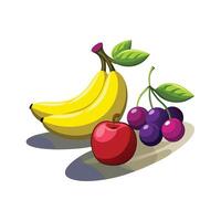 Realistic Fruits Illustration Concepts vector