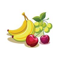 Realistic Fruits Illustration Concepts vector