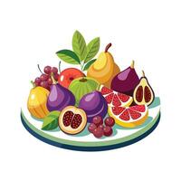 Realistic Fruits Illustration Concepts vector