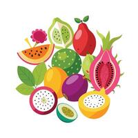 Realistic Fruits Illustration Concepts vector