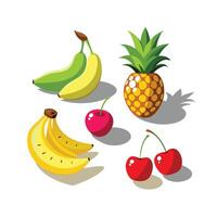 Realistic Fruits Illustration Concepts vector