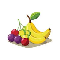 Realistic Fruits Illustration Concepts vector
