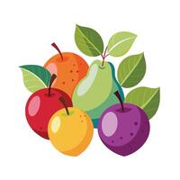 Realistic Fruits Illustration Concepts vector