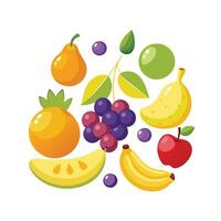 Realistic Fruits Illustration Concepts vector