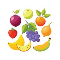 Realistic Fruits Illustration Concepts vector