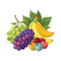 Realistic Fruits Illustration Concepts vector