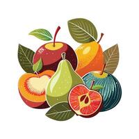 Realistic Fruits Illustration Concepts vector