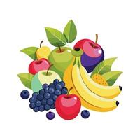 Realistic Fruits Illustration Concepts vector