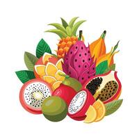 Realistic Fruits Illustration Concepts vector