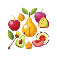 Realistic Fruits Illustration Concepts vector