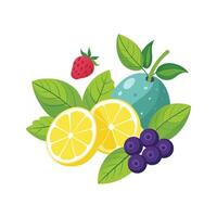 Realistic Fruits Illustration Concepts vector