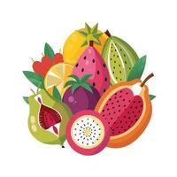 Realistic Fruits Illustration Concepts vector