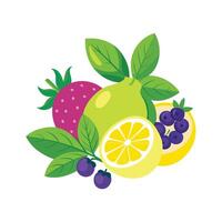 Realistic Fruits Illustration Concepts vector