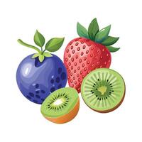 Realistic Fruits Illustration Concepts vector