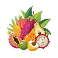 Realistic Fruits Illustration Concepts vector