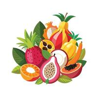 Realistic Fruits Illustration Concepts vector