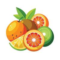 Realistic Fruits Illustration Concepts vector