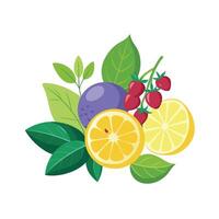 Realistic Fruits Illustration Concepts vector