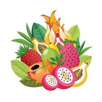 Realistic Fruits Illustration Concepts vector