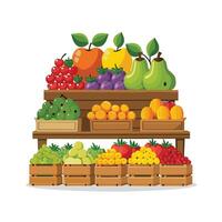 Realistic Fruits Illustration Concepts vector