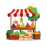 Realistic Fruits Illustration Concepts vector