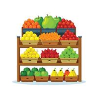 Realistic Fruits Illustration Concepts vector