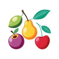 Realistic Fruits Illustration Concepts vector