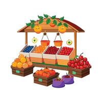 Realistic Fruits Illustration Concepts vector