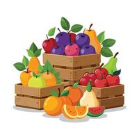 Realistic Fruits Illustration Concepts vector