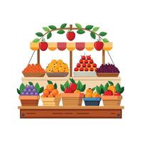 Realistic Fruits Illustration Concepts vector