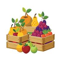 Realistic Fruits Illustration Concepts vector