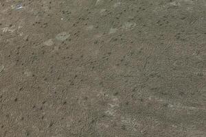 Close-up of a footprint disturbing the smooth pattern of textured sand photo