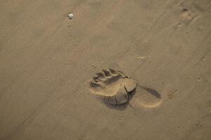 A lone footprint in the sand left behind on a summer beach walk photo